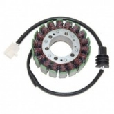 Статор генератора Elektrosport ESG780