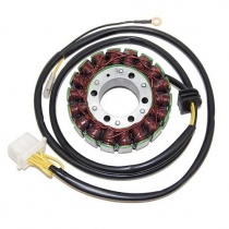 Статор генератора Elektrosport ESG802