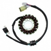 Статор генератора Elektrosport ESG806
