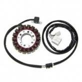 Статор генератора Elektrosport ESG836