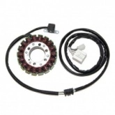 Статор генератора Elektrosport ESG836