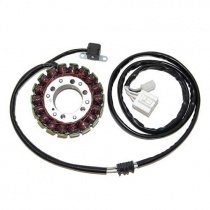 Статор генератора Elektrosport ESG836