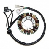 Статор генератора Elektrosport ESG870