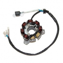 Статор генератора Elektrosport ESG880
