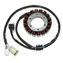 Статор генератора Elektrosport ESG941