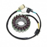 Статор генератора Elektrosport ESG950
