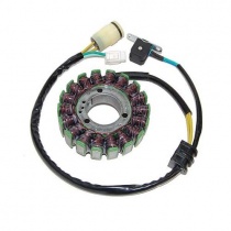 Статор генератора Elektrosport ESG950