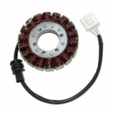 Статор генератора Elektrosport ESG952