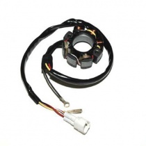 Статор генератора Elektrosport ESL237