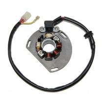 Статор генератора Elektrosport ESL239