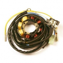 Статор генератора Elektrosport ESL960