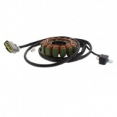 Статор генератора Tourmax STA-213V