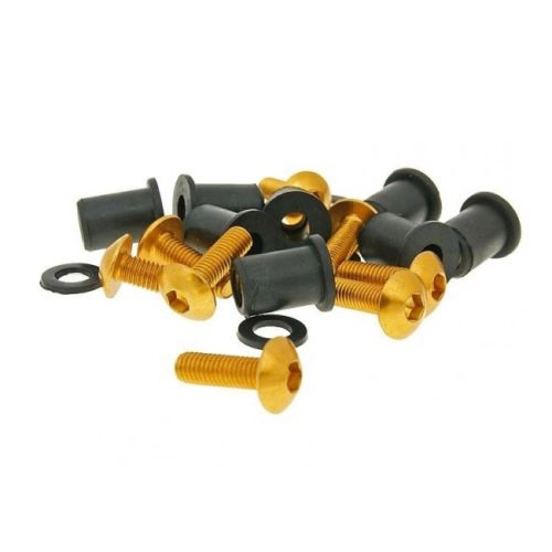 Болти кріплення вітрового скла Vicma 907OR Gold