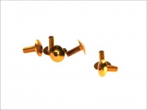 Болты крепления пластика Vicma TA615OR Gold