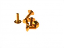 Болты крепления пластика Vicma TA620OR Gold