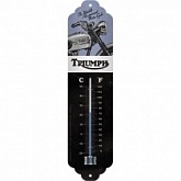 Термометр Triumph