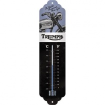 Термометр Triumph