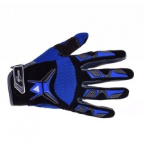 Мотоперчатки Inmotion PIT-009 Black/Blue