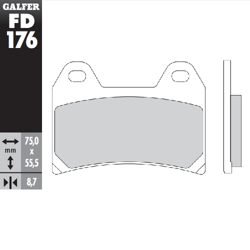 Колодки гальмівні Galfer FD176G1054