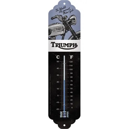 Термометр Triumph