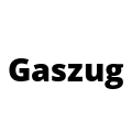 Gaszug