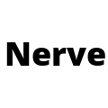 Nerve